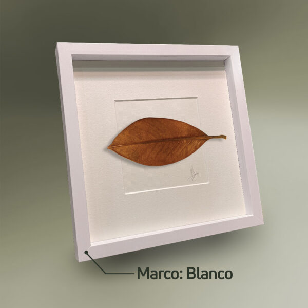 Marco Blanco Horizontal