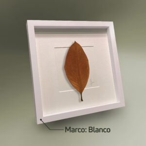 Marco Blanco Vertical