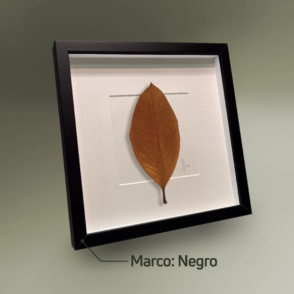 Marco Negro Vertical