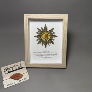 Cuadro eguzki con texto Marco Arce