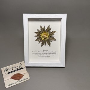 Cuadro eguzki con texto Marco Blanco