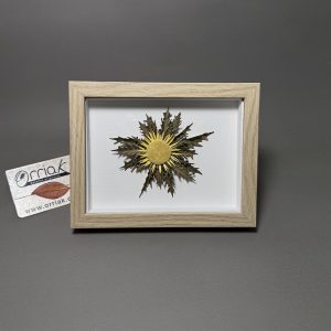 Cuadro eguzkilore Marco Arce