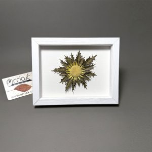 Cuadro eguzkilore Marco Blanco