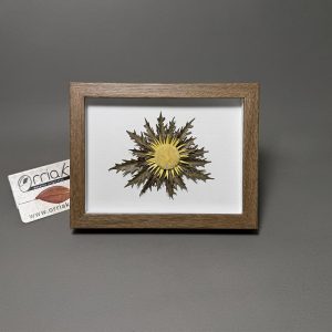 Cuadro eguzkilore Marco Roble