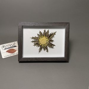 Cuadro eguzkilore Marco Wengué