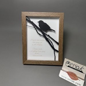 Txoria txori Marco Roble