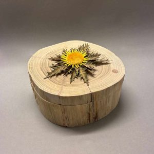 Caja tronco cerrada